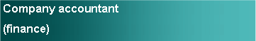 Text Box: Company accountant(finance)
